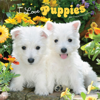 Cover image for 9798330711833 - Puppies, I Love 2027 Square Flap
