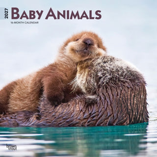 Cover image for 9798330711840 - Baby Animals 2027 Square Flap