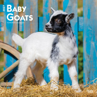 Cover image for 9798330711857 - Baby Goats 2027 Square Flap
