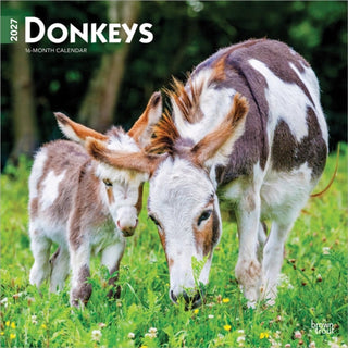 Cover image for 9798330711895 - Donkeys 2027 Square Flap