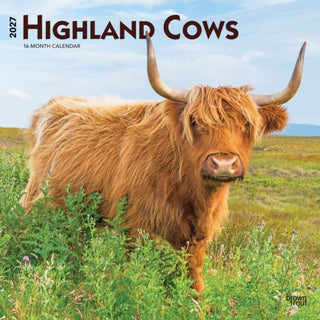 Cover image for 9798330711918 - Highland Cows 2027 Square Flap