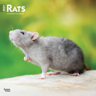 Cover image for 9798330711949 - Rats 2027 Square Flap