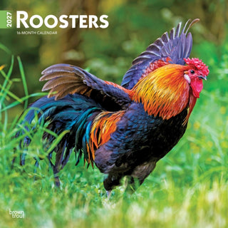 Cover image for 9798330711956 - Roosters 2027 Square Flap