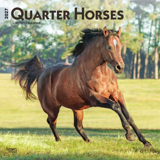 Cover image for 9798330712014 - Quarter Horses 2027 Square Flap