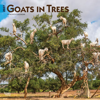 Cover image for 9798330712052 - Goats in Trees 2027 Square Flap
