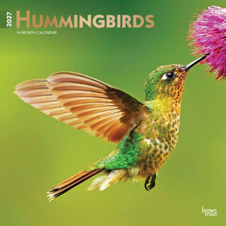 Cover image for 9798330712069 - Hummingbirds 2027 Square Flap FOIL