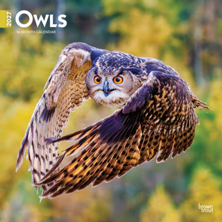 Cover image for 9798330712090 - Owls 2027 Square Flap