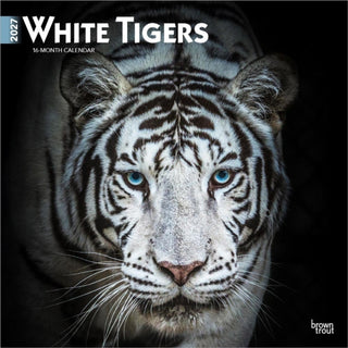 Cover image for 9798330712144 - White Tigers 2027 Square Flap