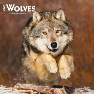 Cover image for 9798330712151 - Wolves 2027 Square Flap
