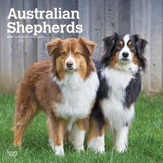 Cover image for 9798330712205 - Australian Shepherds 2027 Square Flap