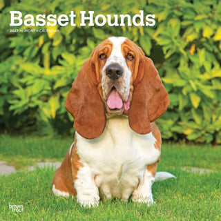Cover image for 9798330712212 - Basset Hounds 2027 Square Flap