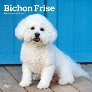 Cover image for 9798330712243 - Bichon Frise 2027 Square Flap