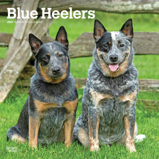 Cover image for 9798330712250 - Blue Heelers 2027 Square Flap