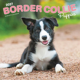 Cover image for 9798330712267 - Border Collie Puppies 2027 Square Flap