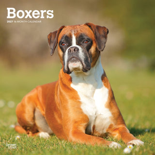 Cover image for 9798330712304 - Boxers International Edition 2027 Square Flap