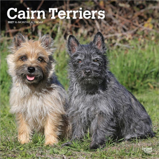 Cover image for 9798330712342 - Cairn Terriers 2027 Square Flap