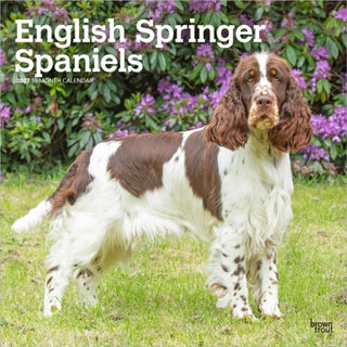 Cover image for 9798330712427 - English Springer Spaniels 2027 Square Flap