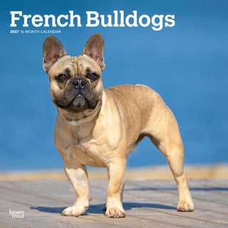 Cover image for 9798330712434 - French Bulldogs 2027 Square Flap