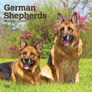 Cover image for 9798330712441 - German Shepherds 2027 Square Flap