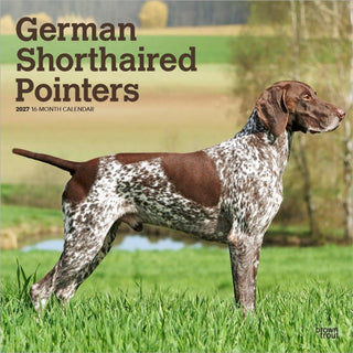Cover image for 9798330712458 - German Shorthaired Pointers 2027 Square Flap