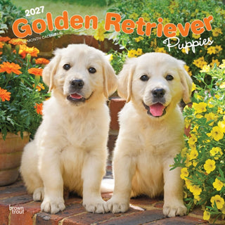 Cover image for 9798330712465 - Golden Retriever Puppies 2027 Square Flap