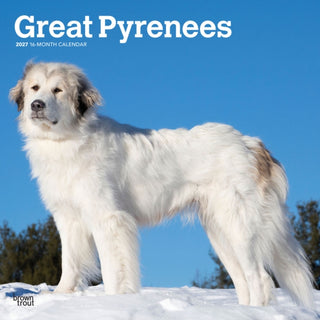Cover image for 9798330712496 - Great Pyrenees 2027 Square Flap