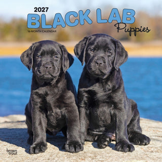 Cover image for 9798330712526 - Labrador Retriever Puppies, Black 2027 Square Flap