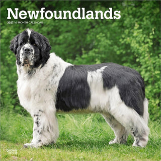 Cover image for 9798330712588 - Newfoundlands 2027 Square Flap
