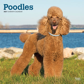 Cover image for 9798330712595 - Poodles 2027 Square Flap
