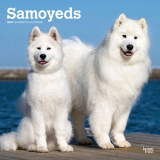 Cover image for 9798330712649 - Samoyeds 2027 Square Flap