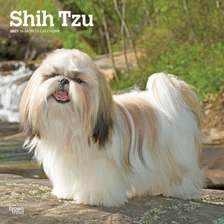 Cover image for 9798330712670 - Shih Tzu 2027 Square Flap