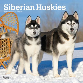 Cover image for 9798330712694 - Siberian Huskies 2027 Square Flap