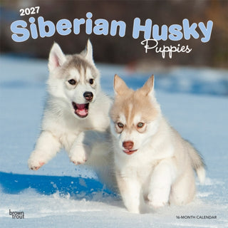 Cover image for 9798330712700 - Siberian Husky Puppies 2027 Square Flap