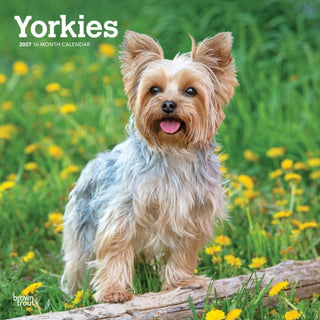 Cover image for 9798330712731 - Yorkshire Terriers 2027 Square Flap