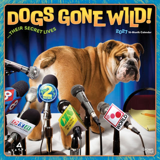Cover image for 9798330712960 - Avanti Dogs Gone Wild 2027 Square Flap
