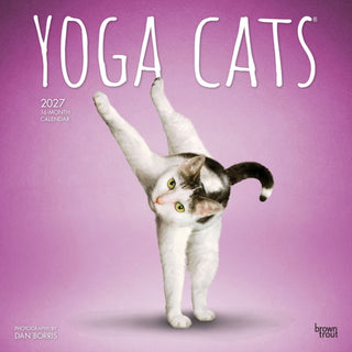 Cover image for 9798330713509 - Yoga Cats 2027 Square Flap