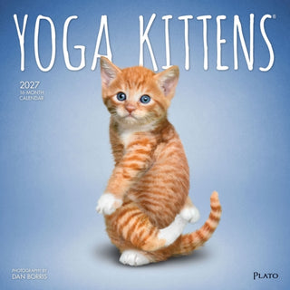 Cover image for 9798330713554 - Yoga Kittens 2027 Square Plato