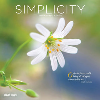 Cover image for 9798330713912 - Simplicity 2027 Square Flap Brush Dance
