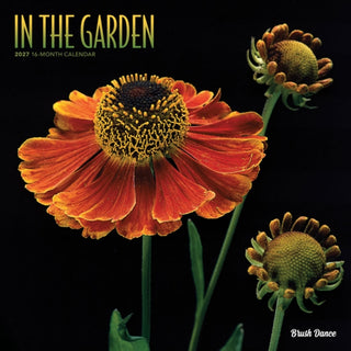 Cover image for 9798330713974 - In the Garden 2027 Square Flap Brush Dance