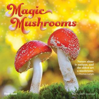 Cover image for 9798330714025 - Magic Mushrooms 2027 Square Flap Brush Dance