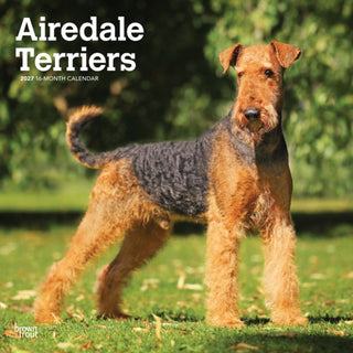 Cover image for 9798330714049 - Airedale Terriers 2027 Square Flap