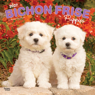 Cover image for 9798330714100 - Bichon Frise Puppies 2027 Square Flap