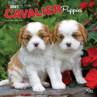 Cover image for 9798330714131 - Cavalier King Charles Spaniel Puppies 2027 Square Flap