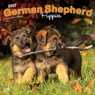 Cover image for 9798330714193 - German Shepherd Puppies 2027 Square Flap