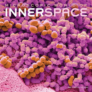 Cover image for 9798330714261 - Microscopic World of Innerspace 2027 Square Flap