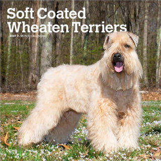 Cover image for 9798330714629 - Wheaten Terriers, Soft Coated 2027 Square Flap