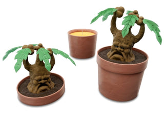 Cover image for 9798337403045 - Harry Potter: Mandrake Candle