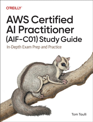 Cover image for 9798341622333 - AWS Certified AI Practitioner (AIF-C01) Study Guide