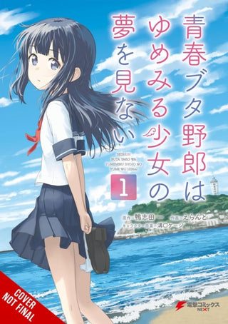 Cover image for 9798855425772 - Rascal Does Not Dream of a Dreaming Girl (manga)