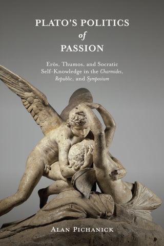 Cover image for 9798855803914 - Plato's Politics of Passion